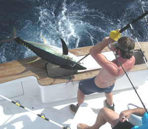 North Carolina Fishing Captain 2